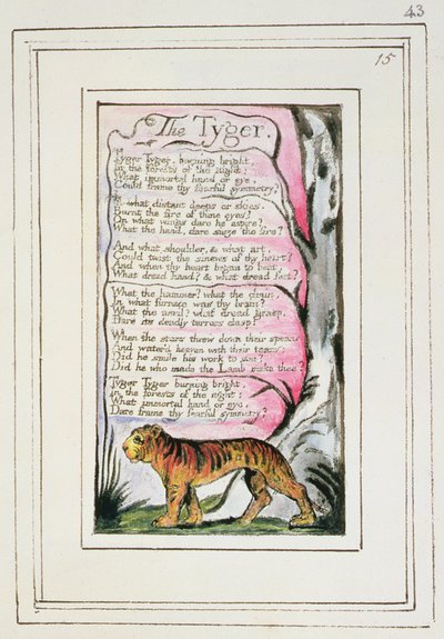 P.124-1950.pt43 De Tijger: plaat 43 uit 